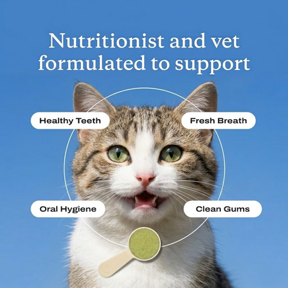 ProJellico™ Advanced Cat Dental Powder